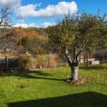 dji_fly_20251030_125510_0357_1762158606075_photo