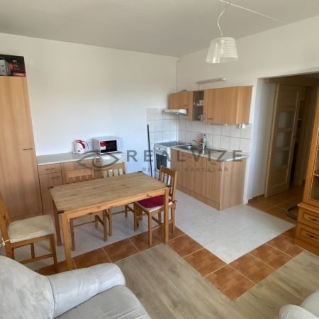 pronajem-byty-2-kk-m2-velesin-img-6432-af012c