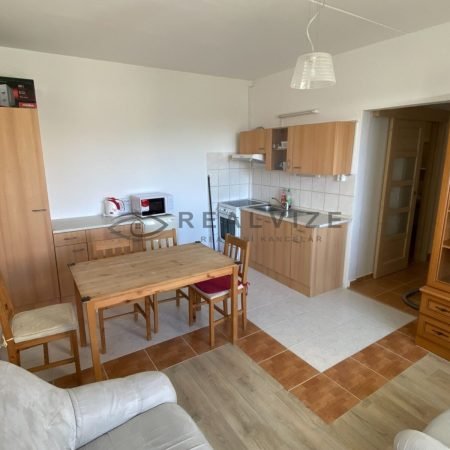 pronajem-byty-2-kk-m2-velesin-img-6432-af012c